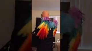 The gay owl 