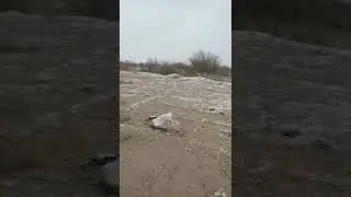 Первый снег в Шаартуз