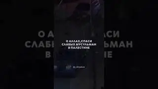 Палестина, Аль-Акса: Дуа за притесненных палестинцев🤲😔