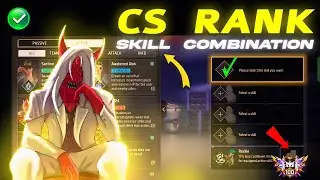 Dominant CS rank - The Perfect character synergy