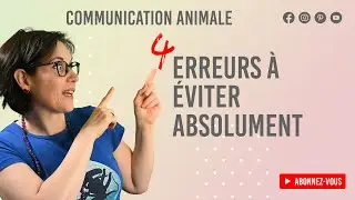 4 erreurs à éviter pour une communication animale réussie !! 🐶😻🐴