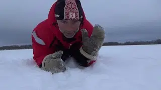 When you're not BITING, and you're fishing. Ruzskoe reservoir 27.12.2020