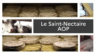 Un produit, un territoire : le Saint-Nectaire