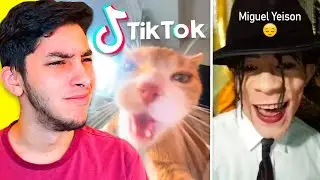 mi feed de tiktok es... muy rara