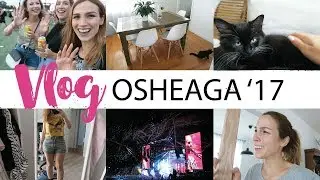Vlog #69 - Osheaga + salle à diner !
