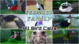 😱🤑🤑 ALL BIRD CALLS IN FEATHER FAMILY AT 3 AM 🥶🥶(NOT CLICKBAIT) (POLICE CAME) 🔥🔥🔥‼️