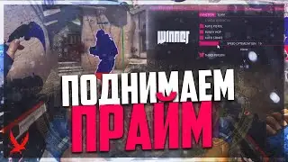 📍 #1 До прайма с софтом ( Winner Free ) Legit AA / Profile changer / Wallhack / Aimbot