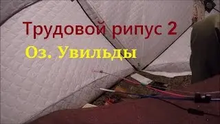 Трудовой рипус 2