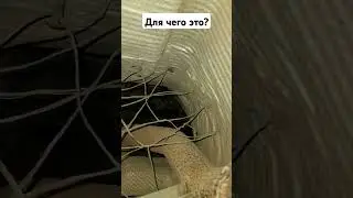 8 июля 2024 г.