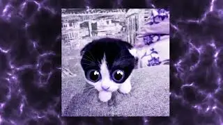 Discord - phonk remix  (pon?)