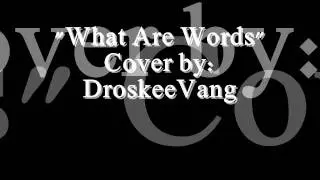 "What Are Words" Cover by: DroskeeVang