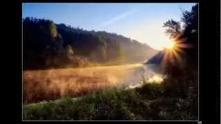 Татьяна Петрова - Журавли