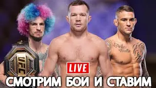 Смотрим UFC 299 прямой эфир и грузим верняки Петр Ян - Сонг Ядонг
