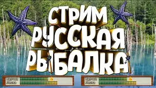 РР3 СТРИМ  Ловим Звезды