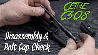 CETME C308 Disassembly & Bolt Gap Check