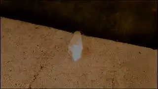 O frasco das mensagens desvenda a sua história e  depois afunda -se .