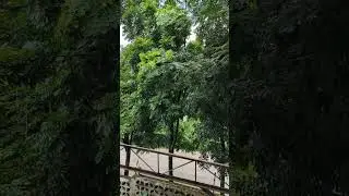 Amping ug Ampo Kanunay Kay mga Mahal kayo ng Dios!