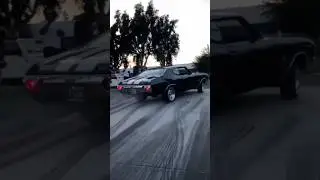 car jhon Wick driveing #trending #ytshorts #shorts