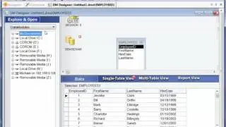 dmAssist Data Connections Pane
