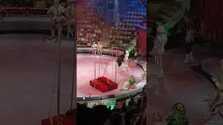 Номер из шоу Гии Эрадзе 