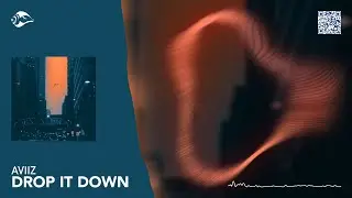 @aviizmusic - Drop It Down | Future House, EDM