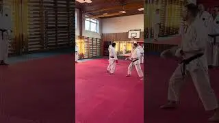 How to close the gap and get closer to the opponent by Toyama-Sensei