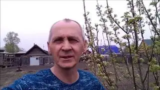 сбербанк простил долги на полгода всем!