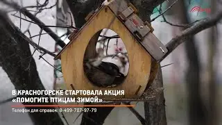 КРТВ. В Красногорске стартовала акция «Помогите птицам зимой»