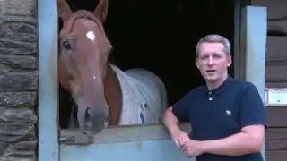 Paul Ferguson's Jumpers To Follow - Time To Move On