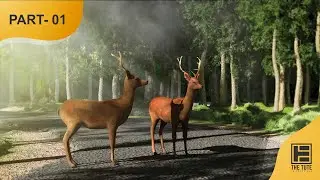 Environment Creation | 3ds Max | Photoshop | Vray#Part_01