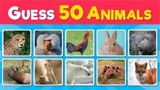 Guess 50 Animal in 3 second | Easy, Hard, and Impossible Levels