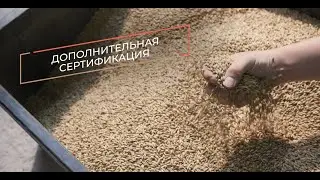 Дополнительная сертификация. Регистрация товарного знака. Разработка сайта. История Юрия Рудакова
