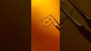 interference in water wave#wave theory