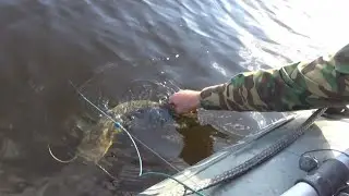 Открытие сезона рыбной ловли с лодки на Куйбышевском водохранилище. Ловля сома на перемет.