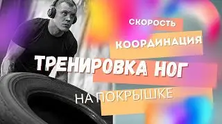 Тренировка на покрышке для начинающих боксёров . Бокс .