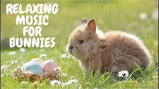 Relaxing Music For Bunnies