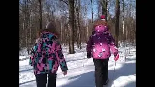 ЗАБРОШКА В ЗЕЛЕНОМ ГОРОДЕ