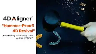LuxCreo ActiveMemory™ 4D Aligner™ Vs. Hammer