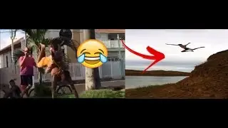 TENTE NÃO RIR Vídeos engraçados pra rir muito#16