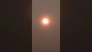 Sun Simulator Effected By Canadian Fires? End of days type of eerie glow!☀️