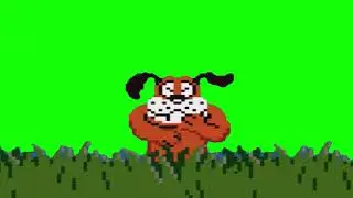 DUCKHUNT GREEN SCREEN REMASTERED 