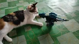 Cat vs Dinosaurus
