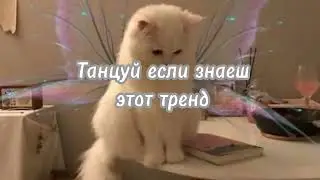#танцуйеслизнаешьэтоттренд #2023 #рекомендации #рек #тикток #лайк #fup #тренд