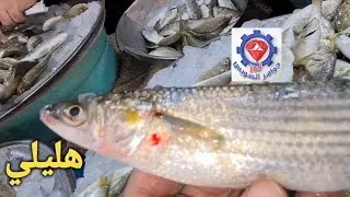 @ أذكر حضراتكم عاوز سمك بطعم الزبدة وريحة البحر يبقى أسماك صيد العنبك القنال عند أسماك العربي.