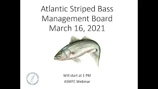 Atlantic Striped Bass Board Proceedings March 2021