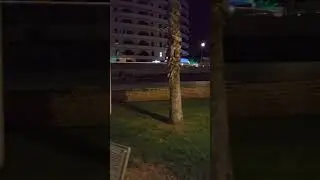 Гуляю в парке Национального танцора