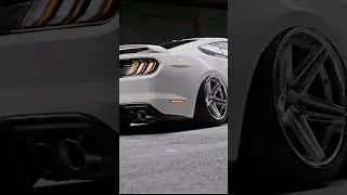 White  Mustang 😎 your dream car #short