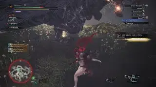 *BONK* 