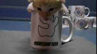caturday mug