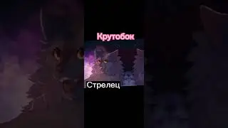 ЗЗ и КВ как строчки из песни || Коты-воители
